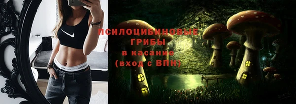 прущий лед Богородск