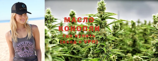 прущий лед Богданович
