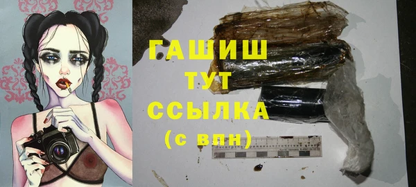 прущий лед Богданович