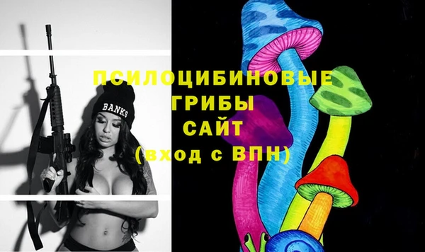 прущий лед Богданович