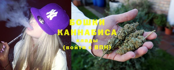 прущий лед Богданович